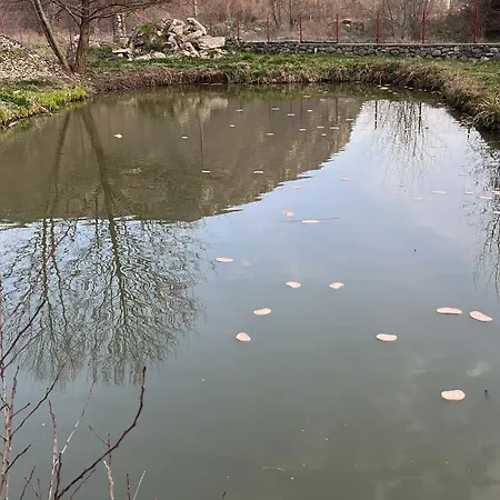 La Gradina Mehadija