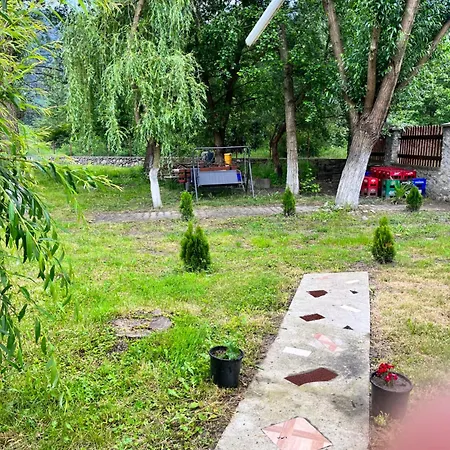 캠프장 La Gradina Mehadija